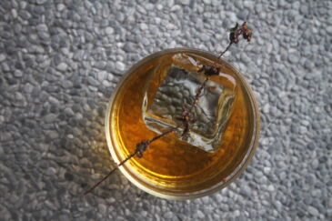 Bee Pollen by Luke Whearty found at The Pouring Tales