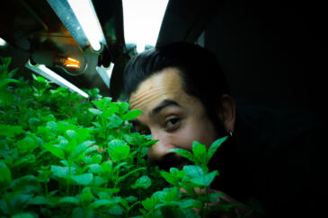 Robin Sohrabi-Shiraz at Torgatta Botaniske in Oslo